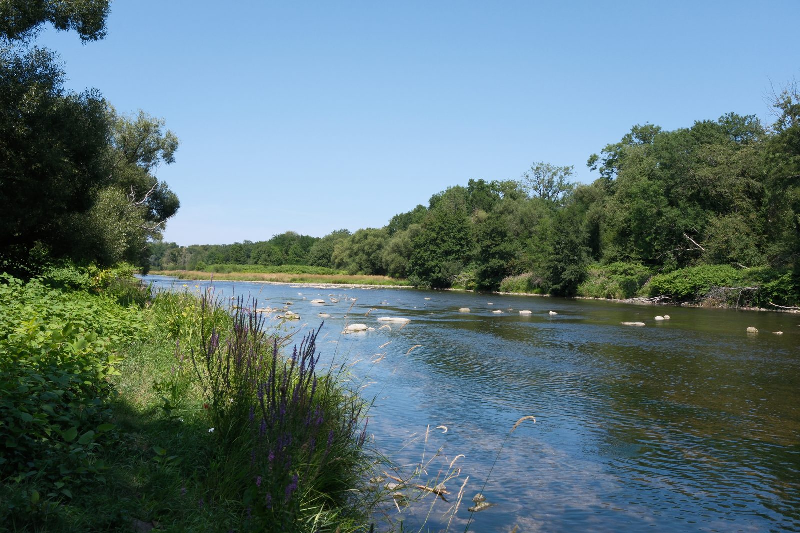 Les berges de la Moselle à Golbey : rivière bordée d'arbres et de verdure, à quelques pas de la maison